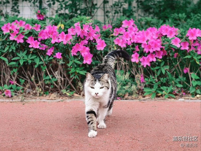 【春日盛景】春天里