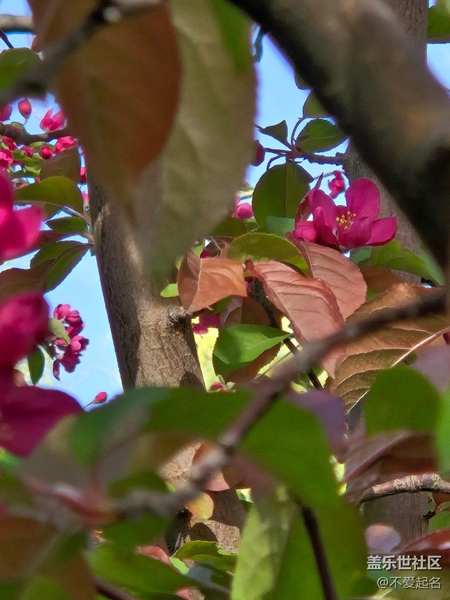 【拈花拾趣】群芳爭(zhēng)艷