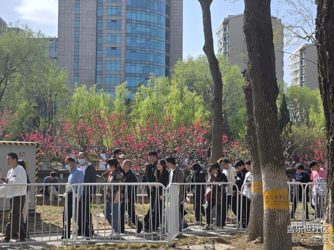 【拈花拾趣】繁花似錦