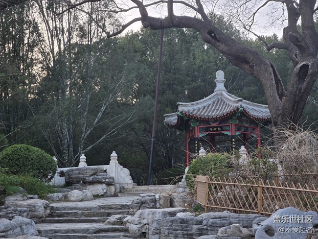 【拈花拾趣】漫步花徑