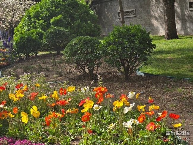 【拈花拾趣】繁花似錦