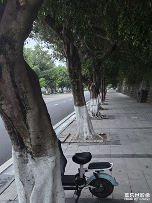 【市井長(zhǎng)巷】路邊市井小巷