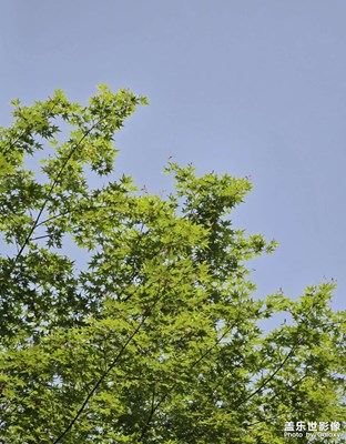 【市井長(zhǎng)巷】+掃街隨拍