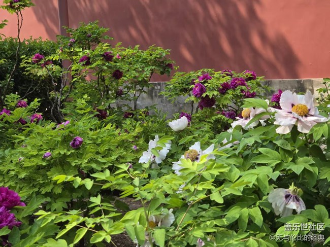 【拈花拾趣】人山人海