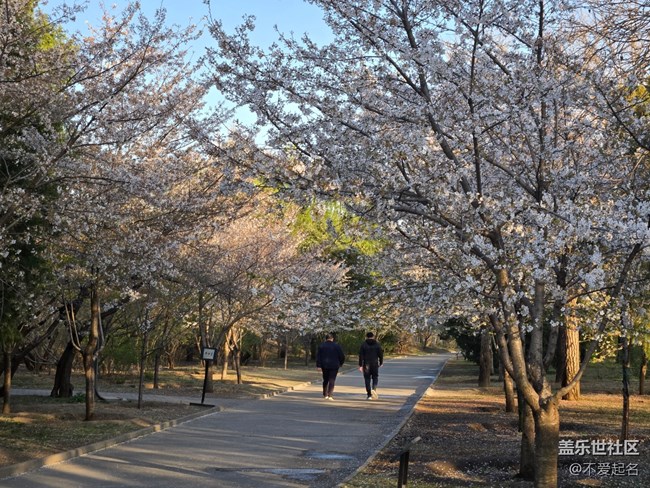 【拈花拾趣】置身園林