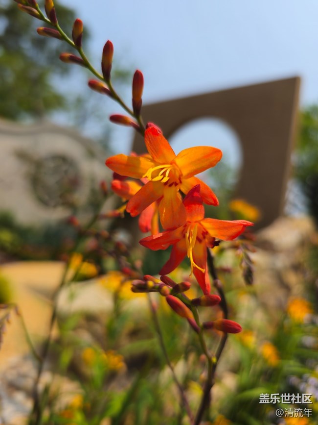 【四月春】花開燦爛