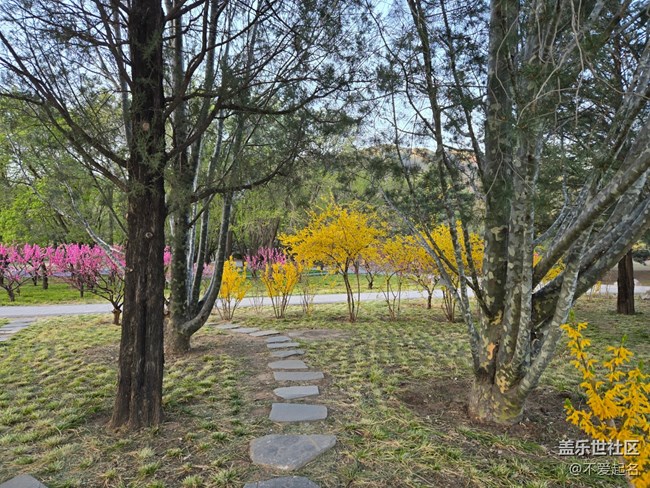 【拈花拾趣】花繁葉茂