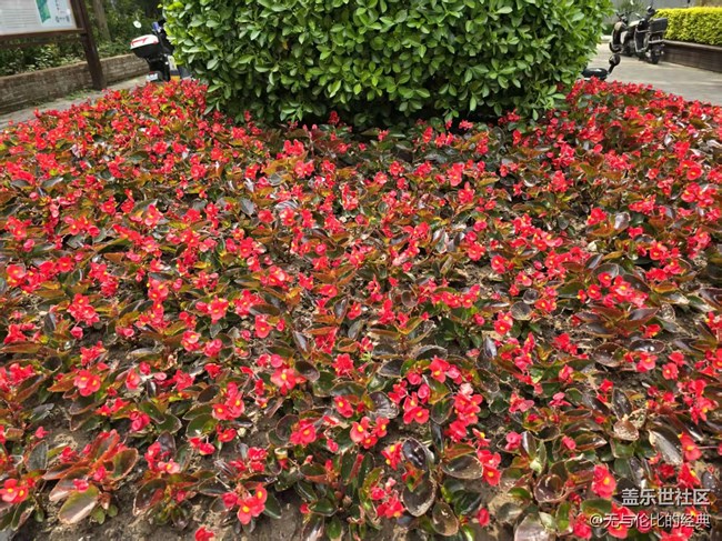 【拈花拾趣】平凡見偉大