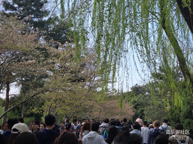 【拈花拾趣】繁花滿枝