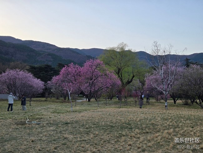 【拈花拾趣】繁花滿徑