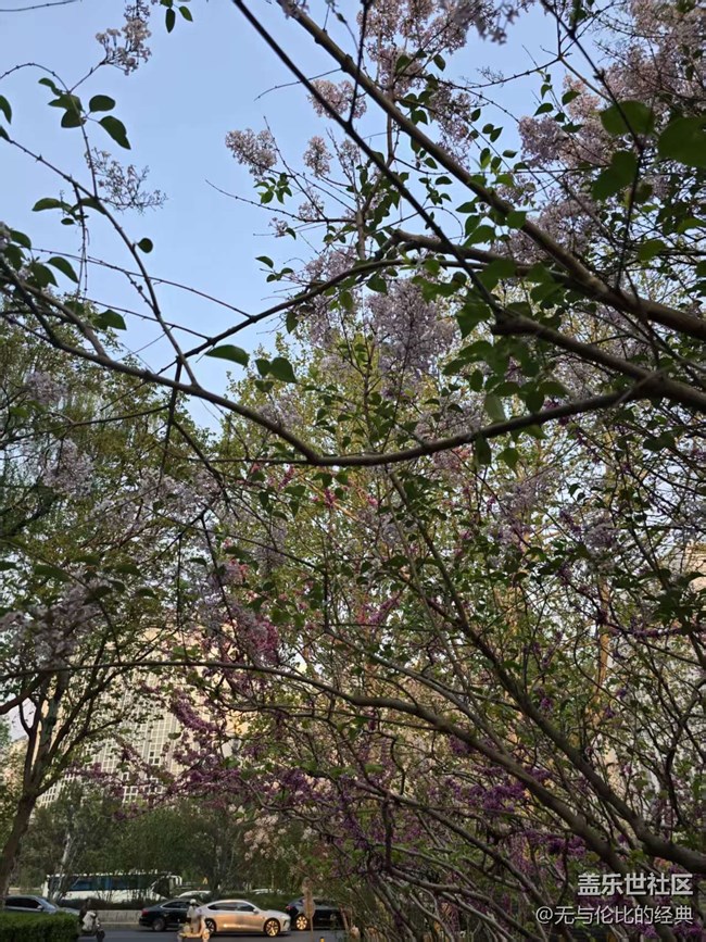 【拈花拾趣】又見春色