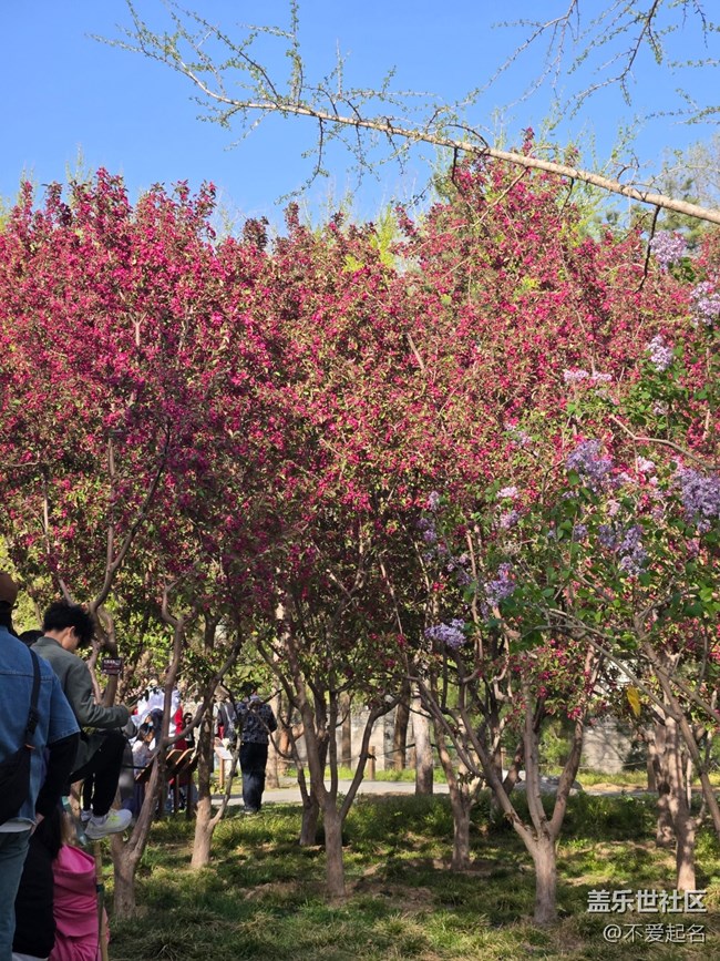 【拈花拾趣】花漫香徑