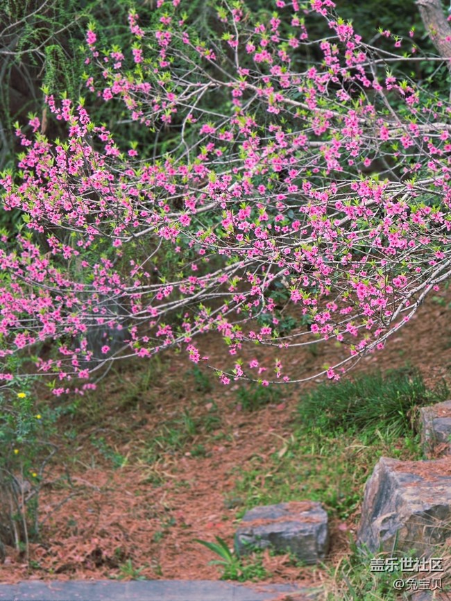 #擁抱大自然——換個心情