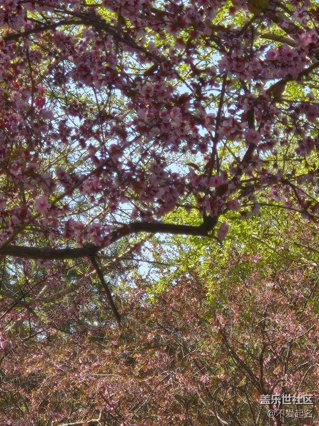 【拈花拾趣】群芳爭(zhēng)艷