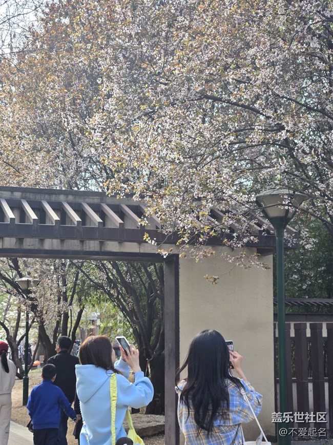 【拈花拾趣】春花爛漫