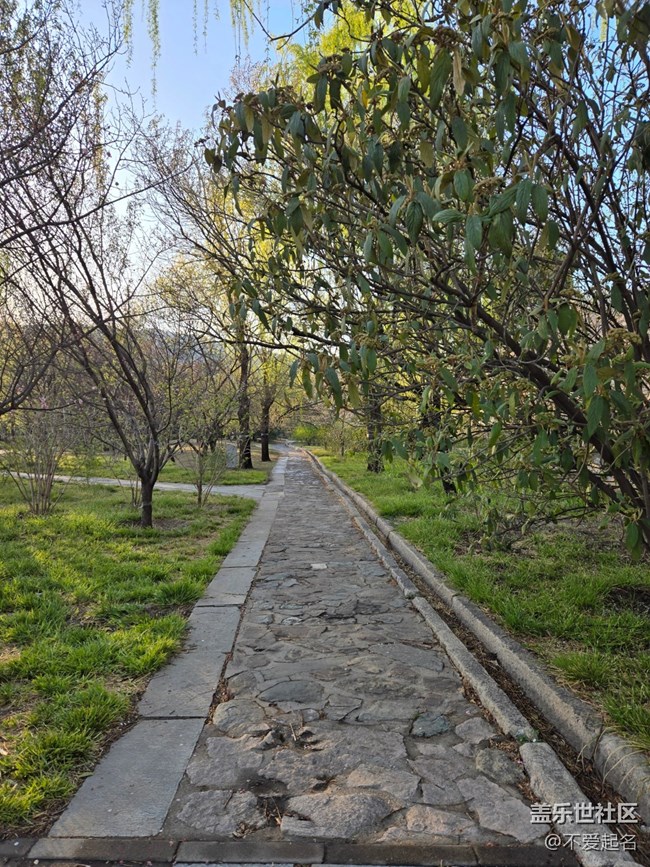 【拈花拾趣】游園賞景