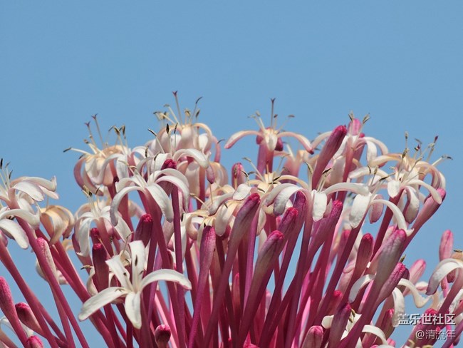 【四月春】春日色彩