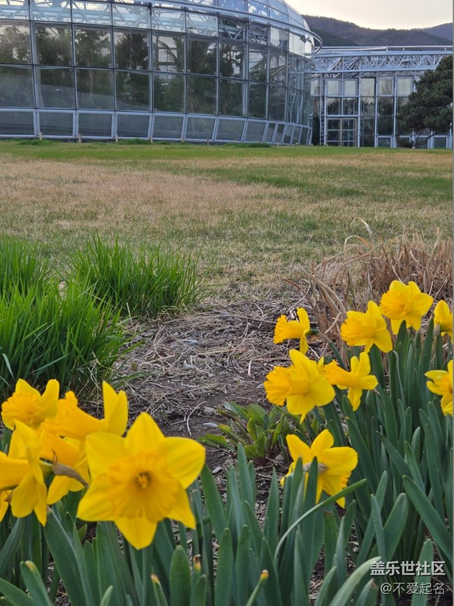 【拈花拾趣】踏入園林