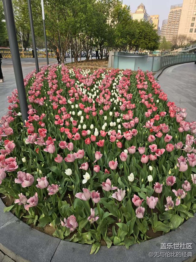 【拈花拾趣】美無處不在