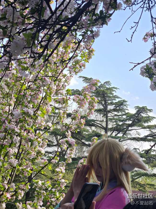 【拈花拾趣】花海搖曳