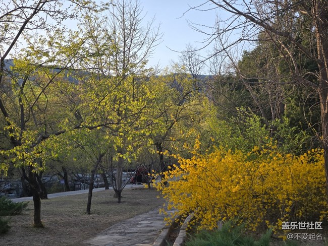 【拈花拾趣】游園賞景