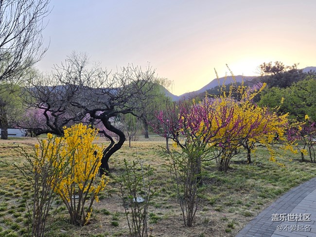【拈花拾趣】花繁葉茂