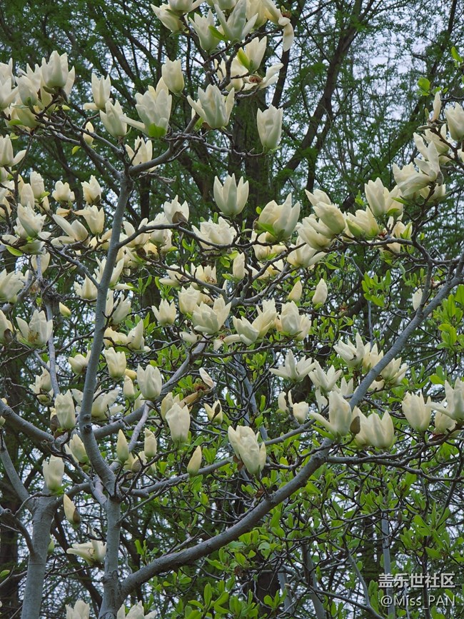 #擁抱大自然——出去走走