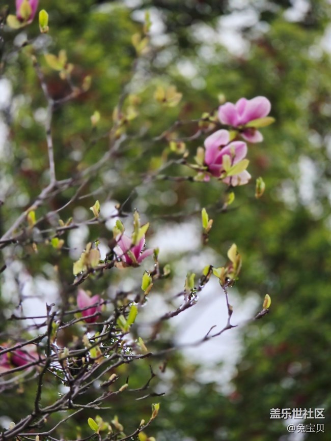 #擁抱大自然——換個心情