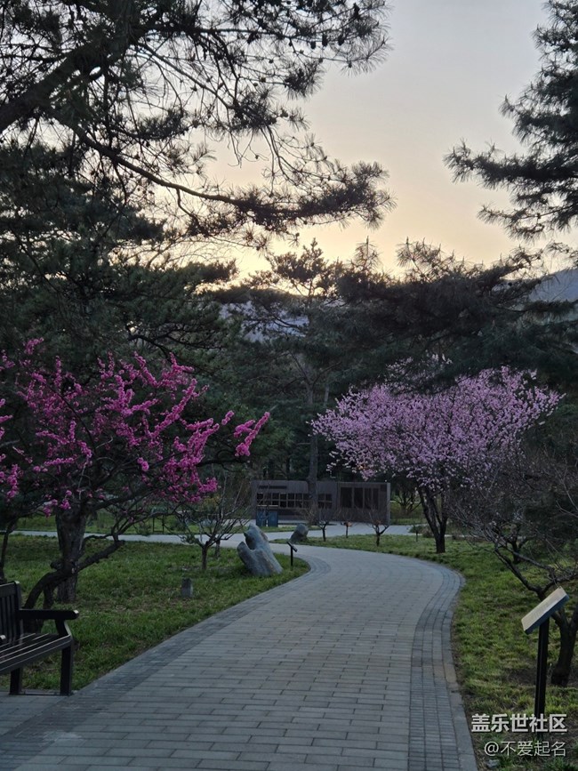 【拈花拾趣】花潮涌動