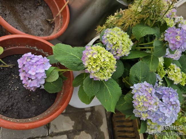 【拈花拾趣】平凡見偉大