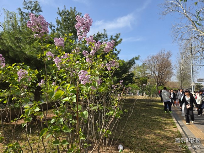 【拈花拾趣】繁花似錦