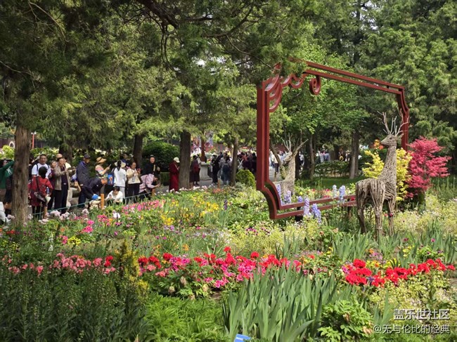 【拈花拾趣】人山人海