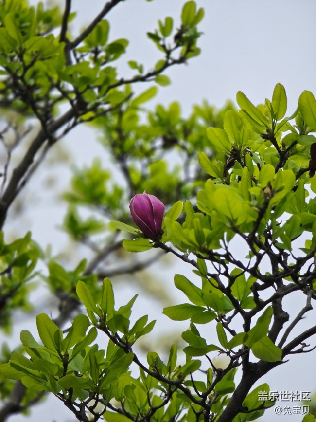 #擁抱大自然——換個心情