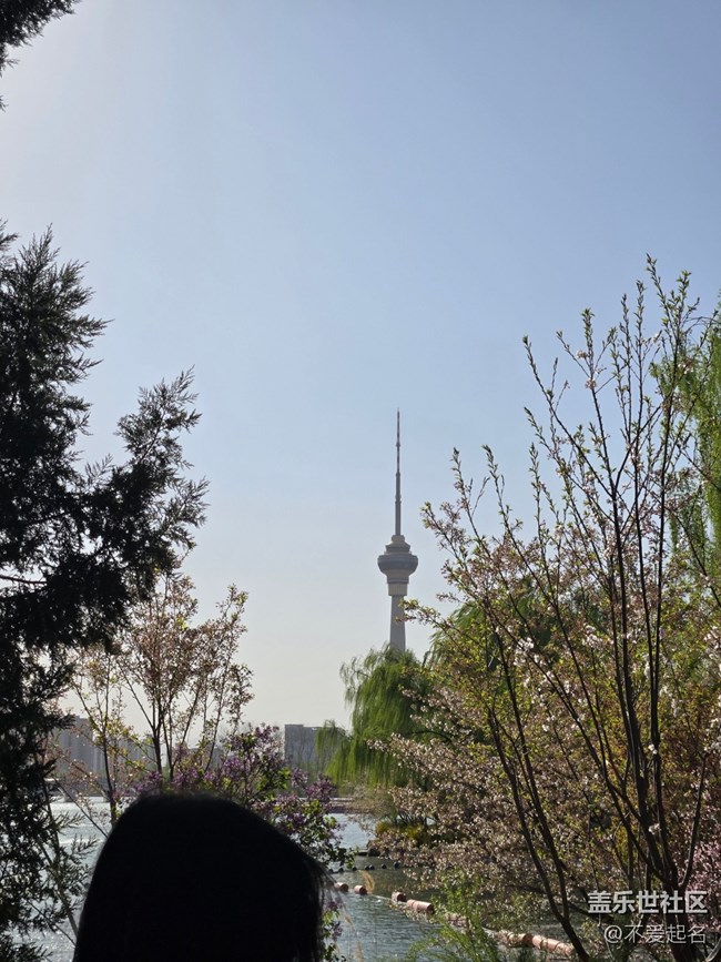 【拈花拾趣】花浪翻涌