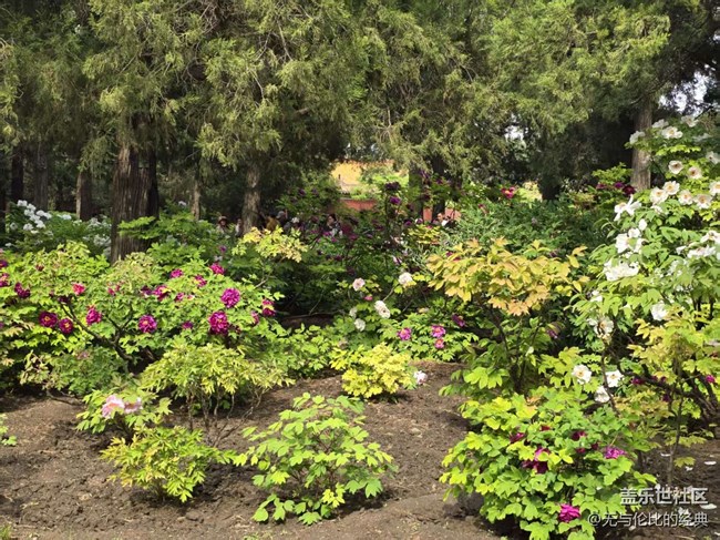 【拈花拾趣】人山人海