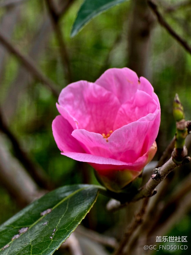 #擁抱大自然——抓住春天的尾巴