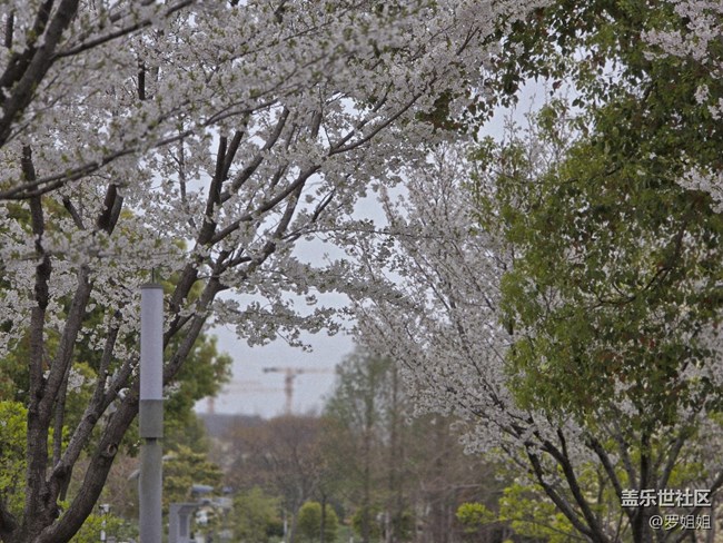 #擁抱大自然——春景