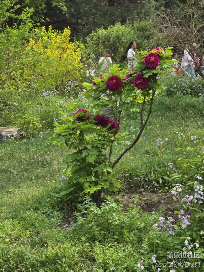 【拈花拾趣】千姿百態(tài)