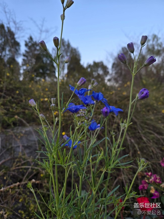 【拈花拾趣】漫步花徑