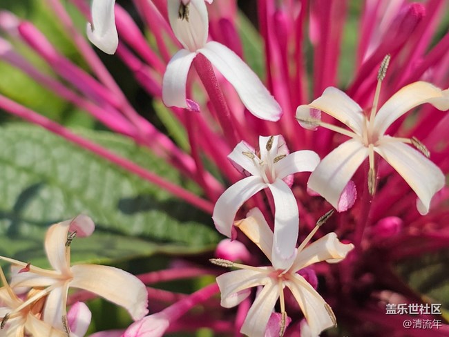 【四月春】春日色彩