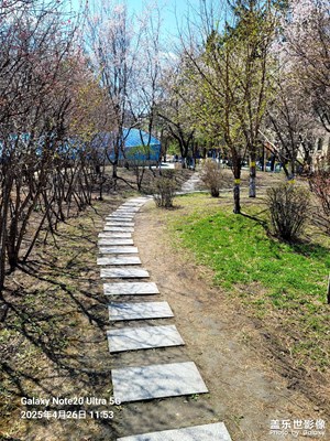 【市井長(zhǎng)巷】+掃街隨拍