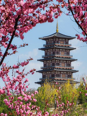 Galaxy S22 Ultra  惠遠(yuǎn)之春