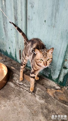 【市井長(zhǎng)巷】留戀