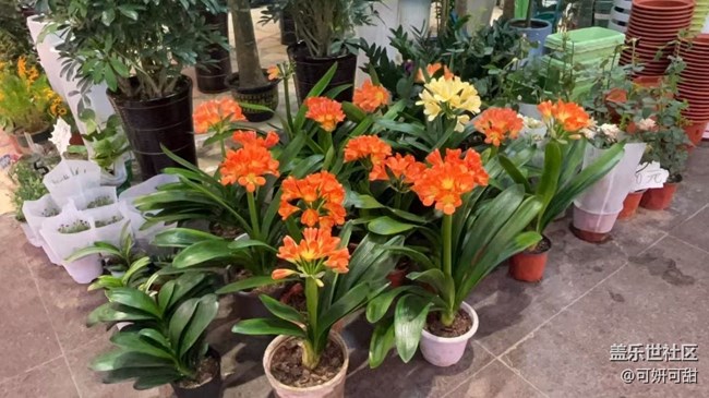 [春風(fēng)得意時]春暖花開