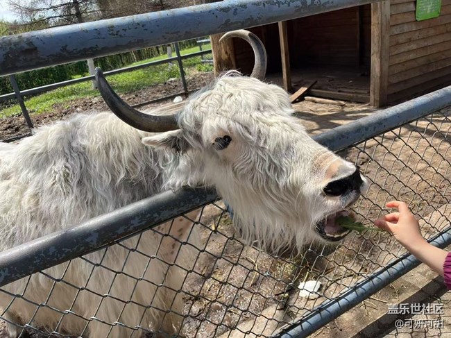 [春風(fēng)得意時]春暖花開