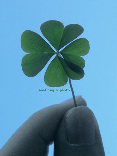 【招募帖】5月寧波星部落線上攝影活動(dòng)