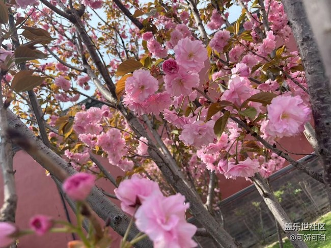 [春風(fēng)得意時]春暖花開