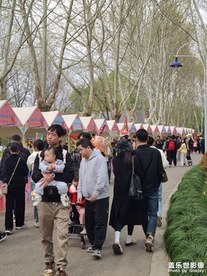 【市井長巷】美食節(jié)