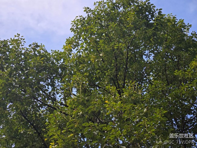 【四月春】喜愛春天