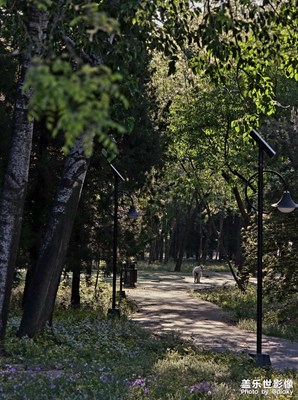 【快樂假日】城市打卡